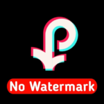 TikTok Video Downloader No Watermark